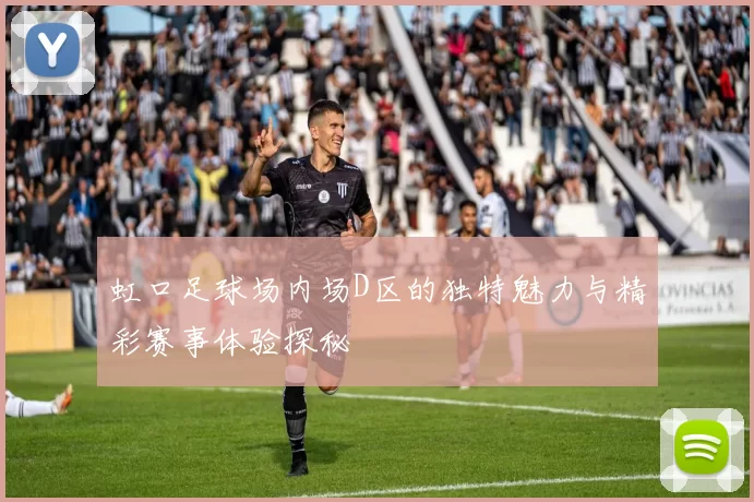 虹口足球场内场D区的独特魅力与精彩赛事体验探秘