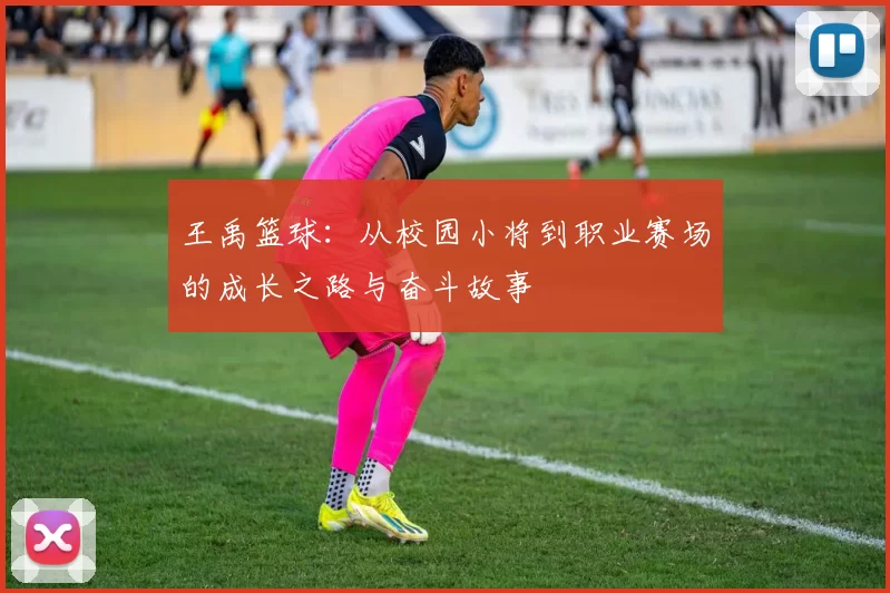 王禹篮球：从校园小将到职业赛场的成长之路与奋斗故事